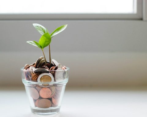 green plant in clear glass cup