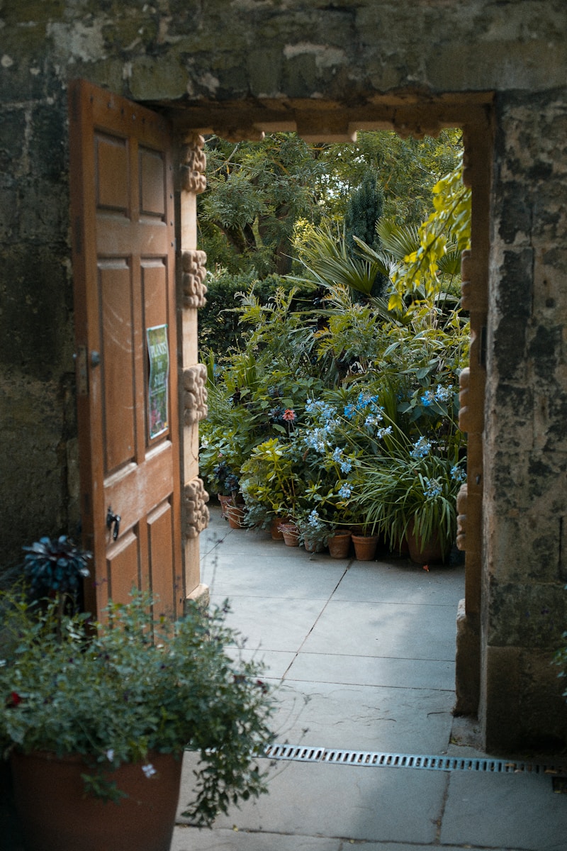 green plants beside brown wooden door